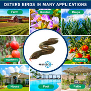 PESTEZE® USA Brown 39 Inch Realistic Inflatable Snakes [1 Pack] Repels Pest Birds Like Woodpeckers, Sparrows, Pigeons, Crows, Gulls & Critters from Pools & Yards Without Harming Them to Protect Property