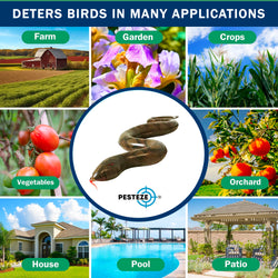 PESTEZE® USA Brown 39 Inch Realistic Inflatable Snakes [1 Pack] Repels Pest Birds Like Woodpeckers, Sparrows, Pigeons, Crows, Gulls & Critters from Pools & Yards Without Harming Them to Protect Property