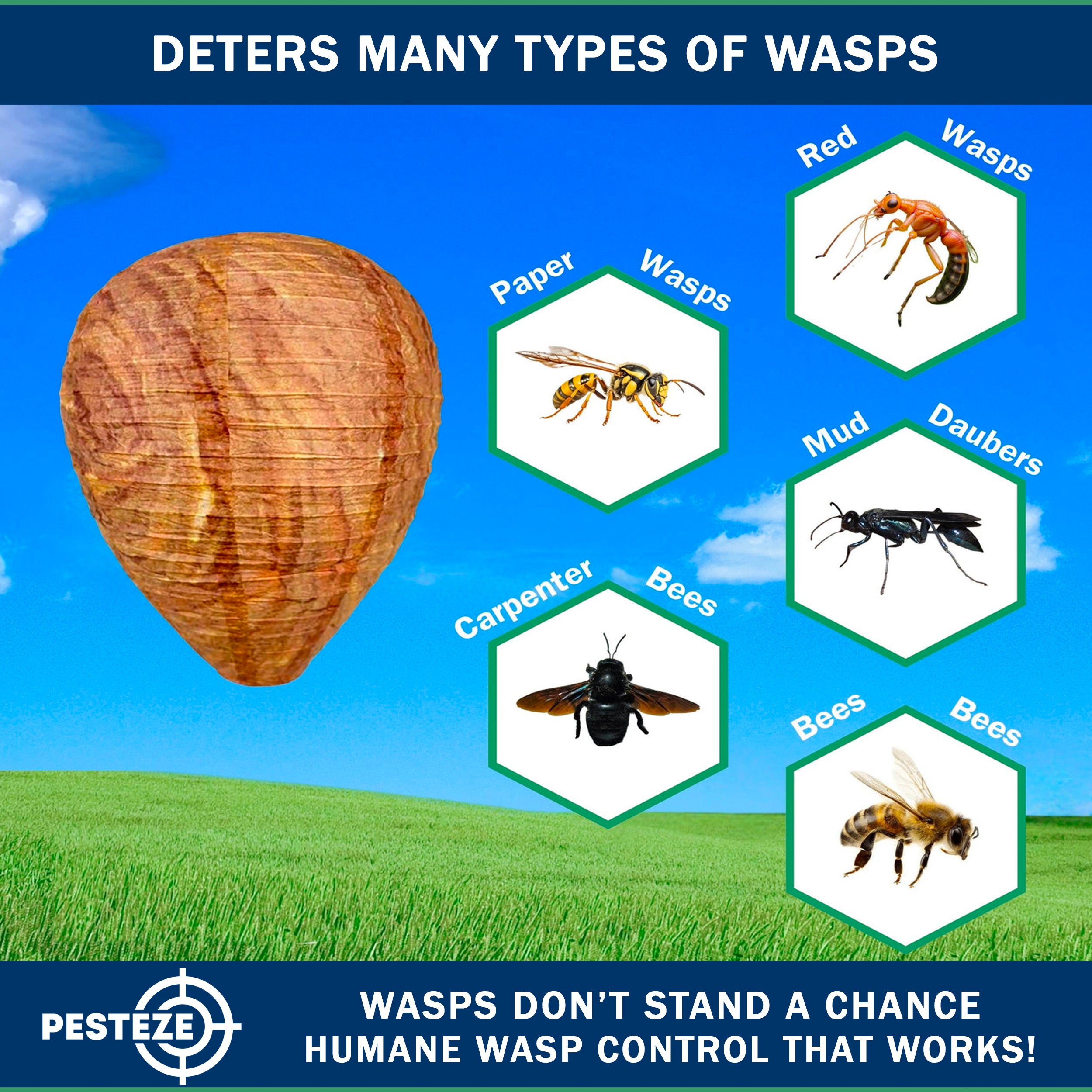 1 Pack PESTEZE® Hanging Wasp Nest Decoy [11.8 x 8.6 Inch] Deters Several  Wasp, Hornet & Yellow Jacket Species without Harsh Chemicals by Simulating Enemy Hives.