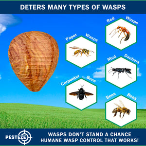 1 Pack PESTEZE® Hanging Wasp Nest Decoy [11.8 x 8.6 Inch] Deters Several  Wasp, Hornet & Yellow Jacket Species without Harsh Chemicals by Simulating Enemy Hives.