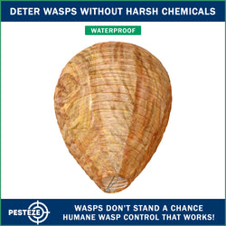 PESTEZE® USA Brown Waterproof Hanging Wasp Decoy Nest [2 Pack] Deters Several Wasp, Hornet & Yellow Jacket Species by Simulating Enemy Hives.