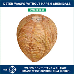PESTEZE® USA Brown Waterproof Hanging Wasp Decoy Nest [2 Pack] Deters Several Wasp, Hornet & Yellow Jacket Species by Simulating Enemy Hives.