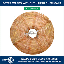 PESTEZE® USA Brown Waterproof Hanging Wasp Decoy Nest [2 Pack] Deters Several Wasp, Hornet & Yellow Jacket Species by Simulating Enemy Hives.