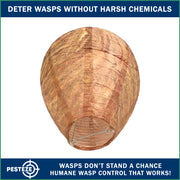 PESTEZE® USA 2 Pack Hanging Wasp Nest Decoy [11.8 x 8.6 Inch]—Faux Wasp, Hornet and Yellow Jacket Deterrent for Outdoor Spaces. Simulated Rival Hives Help Prevent New Nests Without any Harsh Chemicals
