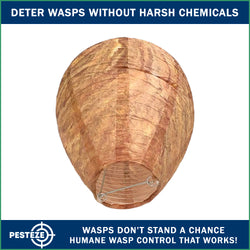 1 Pack PESTEZE® Hanging Wasp Nest Decoy [11.8 x 8.6 Inch] Deters Several  Wasp, Hornet & Yellow Jacket Species without Harsh Chemicals by Simulating Enemy Hives.