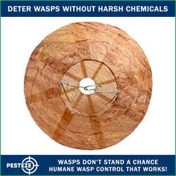 1 Pack PESTEZE® Hanging Wasp Nest Decoy [11.8 x 8.6 Inch] Deters Several  Wasp, Hornet & Yellow Jacket Species without Harsh Chemicals by Simulating Enemy Hives.