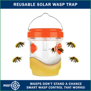 2 Pack PESTEZE® Reusable Solar Hanging Wasp Trap with LED Light [Orange: 3.5 X 4.4 Inch] Attracts, Catches & Kills Wasp, Hornet, Yellow Jacket & Insect Species 24/7 without Harsh Chemicals. Waterproof