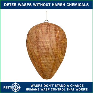 1 Pack PESTEZE® Hanging Wasp Nest Decoy [11.8 x 8.6 Inch] Deters Several  Wasp, Hornet & Yellow Jacket Species without Harsh Chemicals by Simulating Enemy Hives.