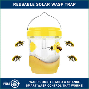 2 Pack PESTEZE® Reusable Solar Hanging Wasp Trap with LED Light [Yellow: 3.5 X 4.4 Inch] Attracts, Catches & Kills Wasp, Hornet, Yellow Jacket & Insect Species 24/7 without Harsh Chemicals. Waterproof