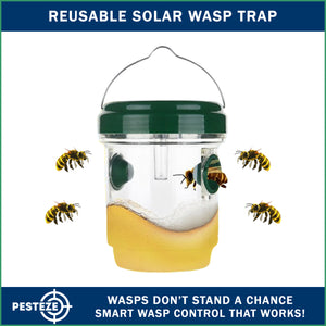 2 Pack PESTEZE® Reusable Solar Hanging Wasp Trap with LED Light [Green: 3.5 X 4.4 Inch] Attracts, Catches & Kills Wasp, Hornet, Yellow Jacket & Insect Species 24/7 without Harsh Chemicals. Waterproof