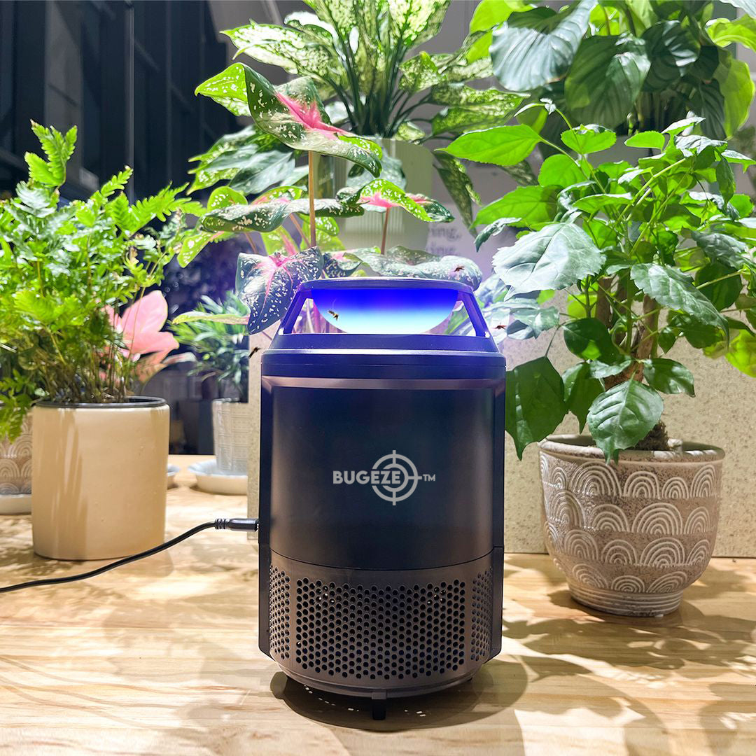 BUGEZE® USA Flying Insect Trap for Gnats, Fruit Flies, Mosquitos, Moths & More – Triple Trapping Power with UV Light, Suction Fan & Glue Trap – Safe Indoor Plug-In Insect Catcher for Kitchens & Homes