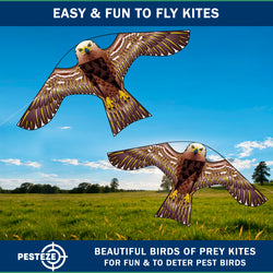 PESTEZE® USA Hawk Kite [47x27 Inch] EZ & Fun to Fly. Also Provides Humane Bird Deterrence in Yards & Farms. Protects Vegetables, Fruits & Crops from Pest Birds & Critters