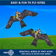 PESTEZE® USA Premium Realistic Eagle Kite with String- 47x27 Inch. EZ & Fun to Fly. Provides Humane Pest Bird Deterrence in Yards & Farms. Protects Vegetables, Fruits & Crops