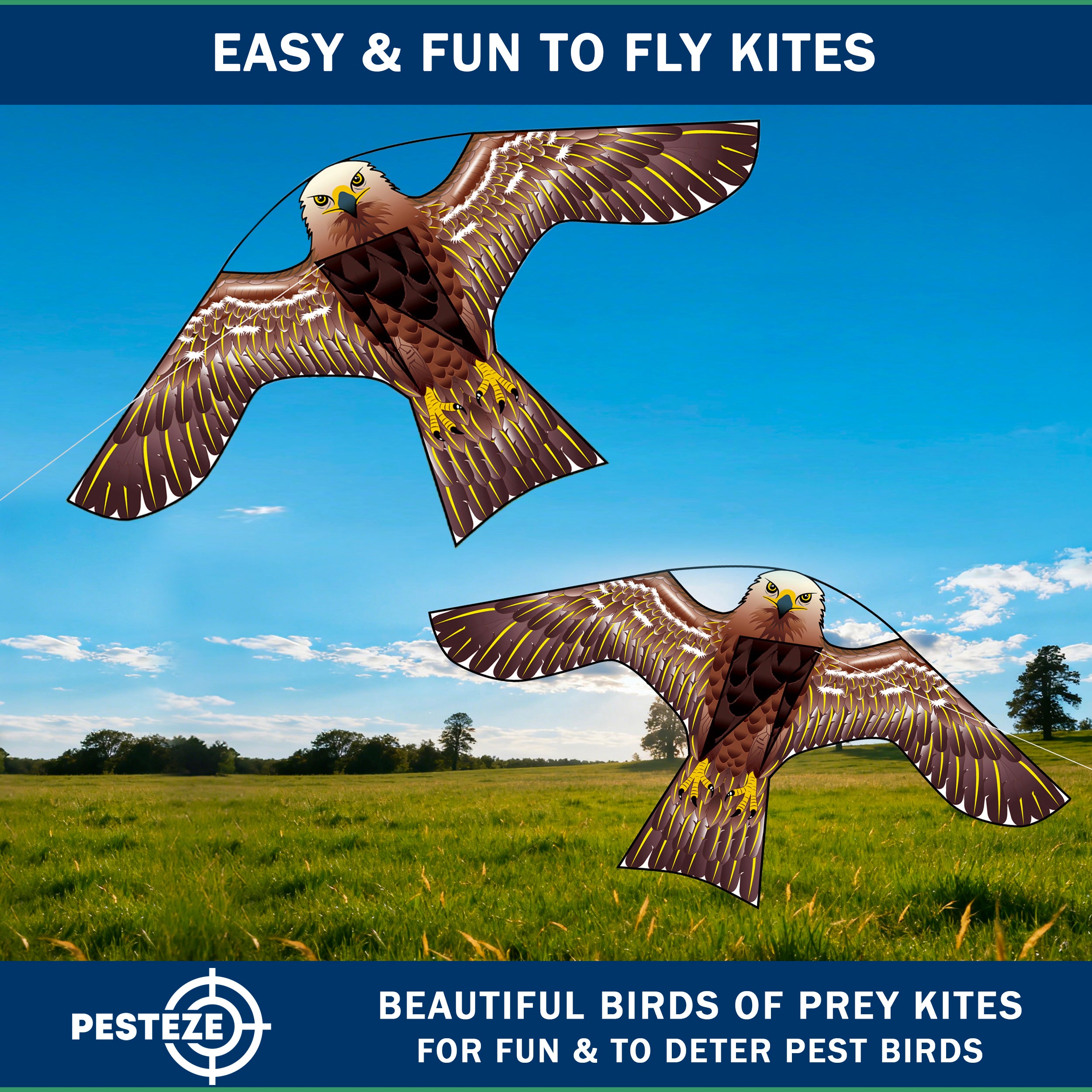 PESTEZE® USA Hawk Kite [2 Pack - 47x27 Inch Kite]. EZ and Fun to Fly. Also Provides Humane Bird Deterrence in Yards & Farms. Protects Vegetables, Fruits & Crops from Pest Birds