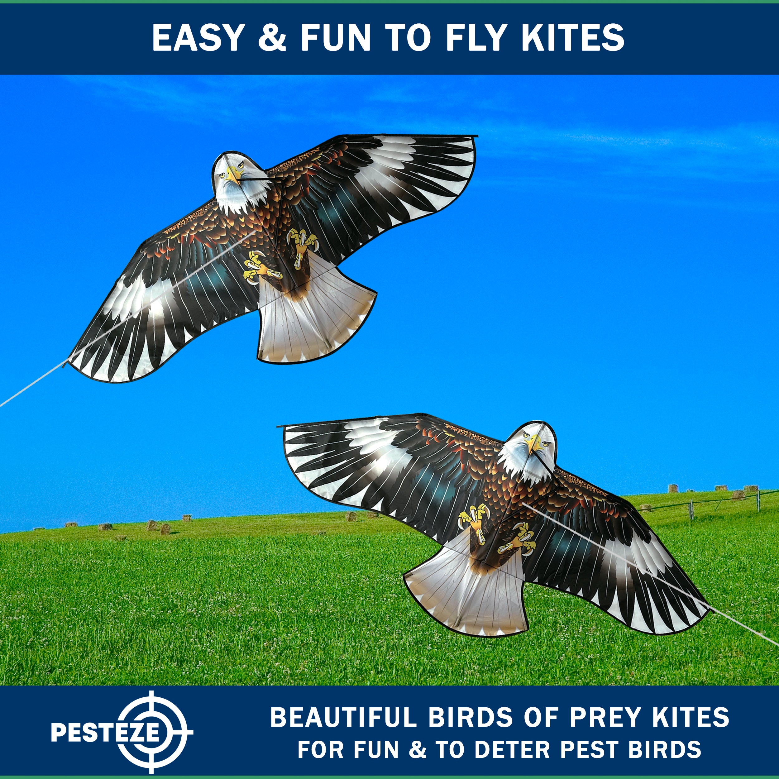 PESTEZE® USA Huge Blue Eagle Kite [2 Pack - 63x29 Inch]. EZ & Fun to Fly. Provides Humane Bird Deterrence in Yards & Farms. Protects Vegetables, Fruits & Crops from Pest Birds