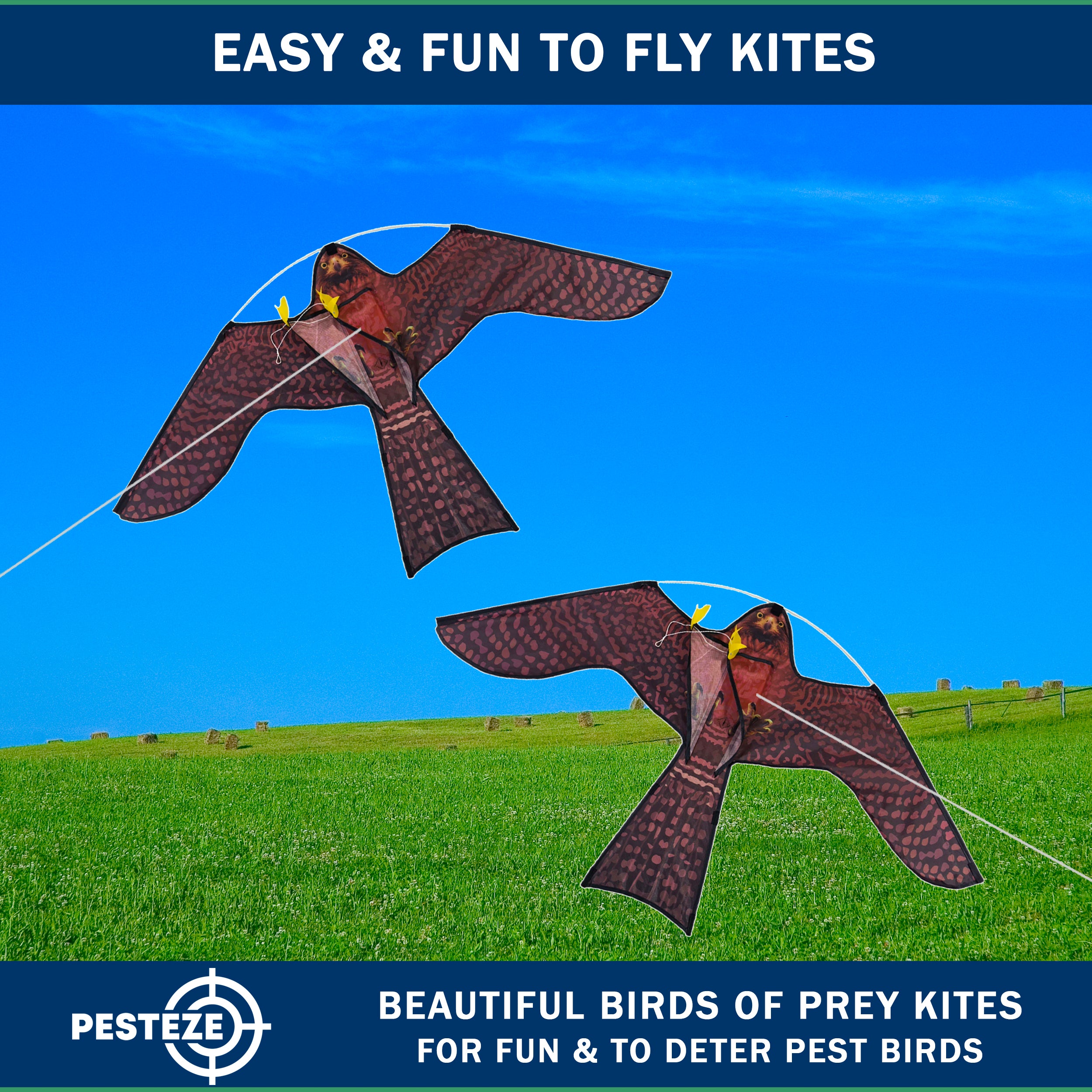 PESTEZE® USA Realistic Hawk Kite [47x27 Inch] EZ & Fun to Fly. Also Provides Humane Bird Deterrence in Yards & Farms. Protects Vegetables, Fruits & Crops from Pest Birds & Critters