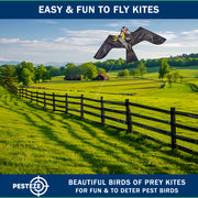 PESTEZE® USA Premium Realistic Eagle Kite with String- 47x27 Inch. EZ & Fun to Fly. Provides Humane Pest Bird Deterrence in Yards & Farms. Protects Vegetables, Fruits & Crops