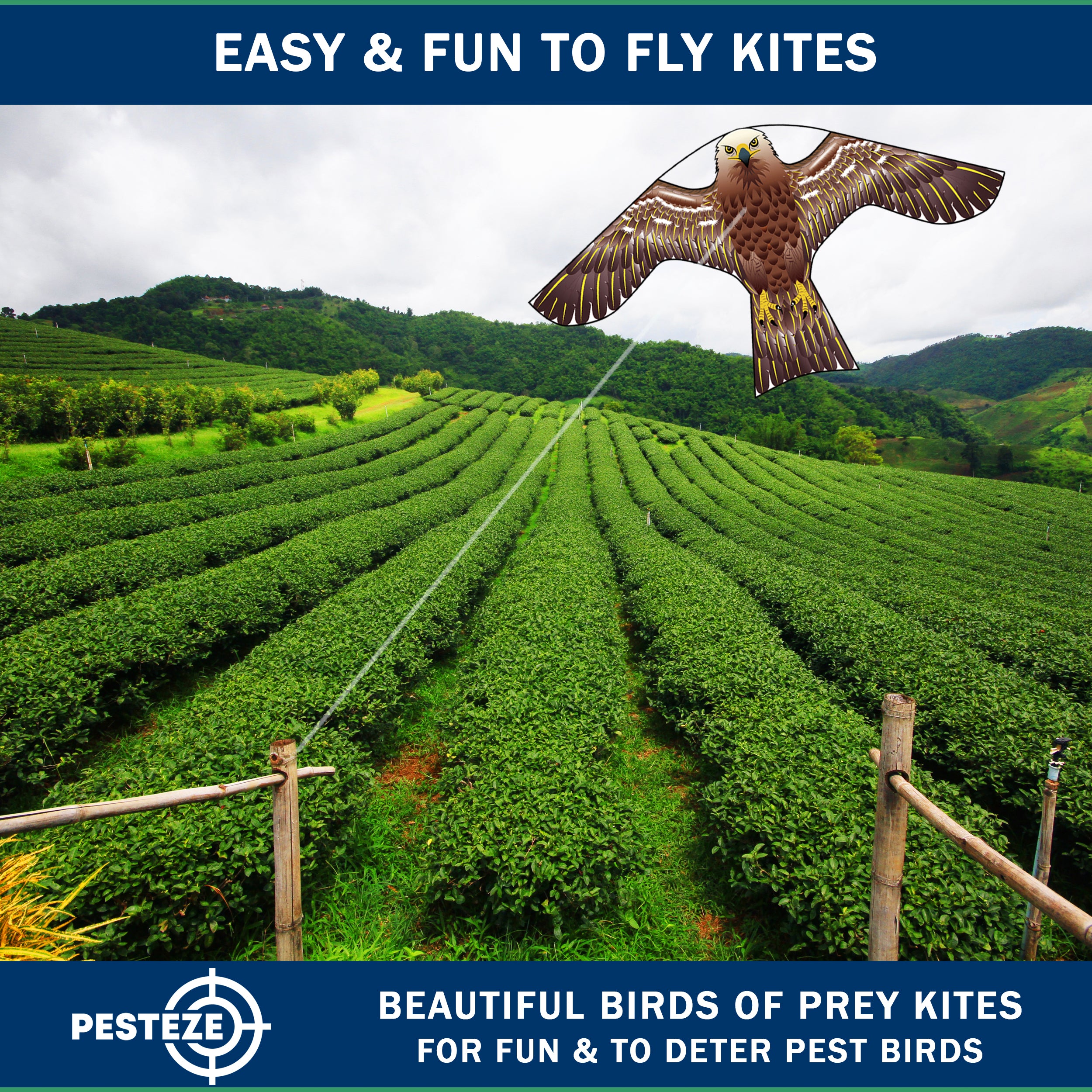 PESTEZE® USA Hawk Kite [47x27 Inch] EZ & Fun to Fly. Also Provides Humane Bird Deterrence in Yards & Farms. Protects Vegetables, Fruits & Crops from Pest Birds & Critters
