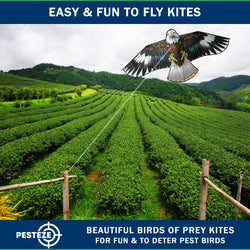 PESTEZE® USA Huge Blue Eagle [63x29 Inch]. EZ & Fun to Fly. Also provides Humane Bird Deterrence in Yards & Farms. Protects Vegetables, Fruits & Crops from Pest Birds & Critters