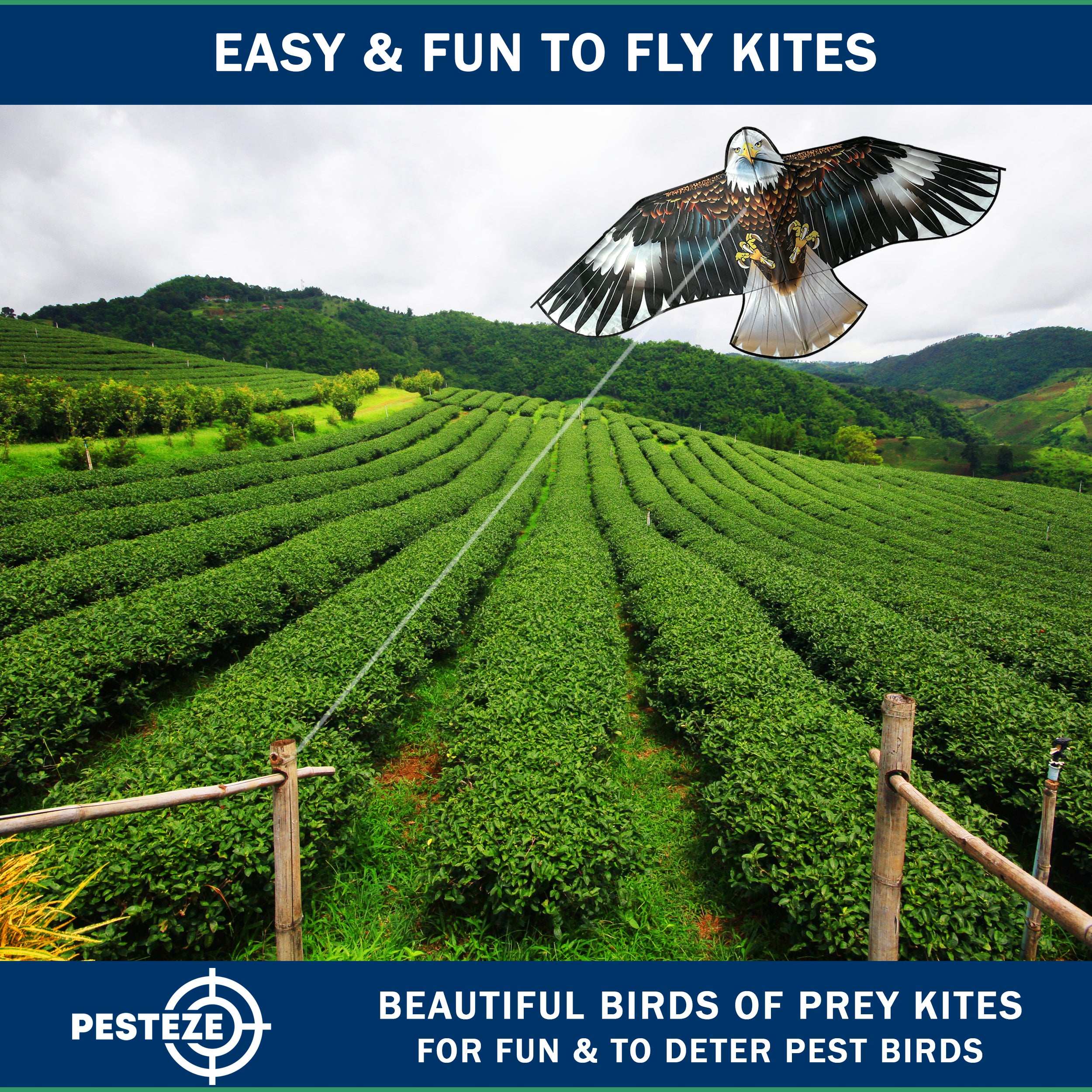 PESTEZE® USA Huge Blue Eagle [63x29 Inch]. EZ & Fun to Fly. Also provides Humane Bird Deterrence in Yards & Farms. Protects Vegetables, Fruits & Crops from Pest Birds & Critters