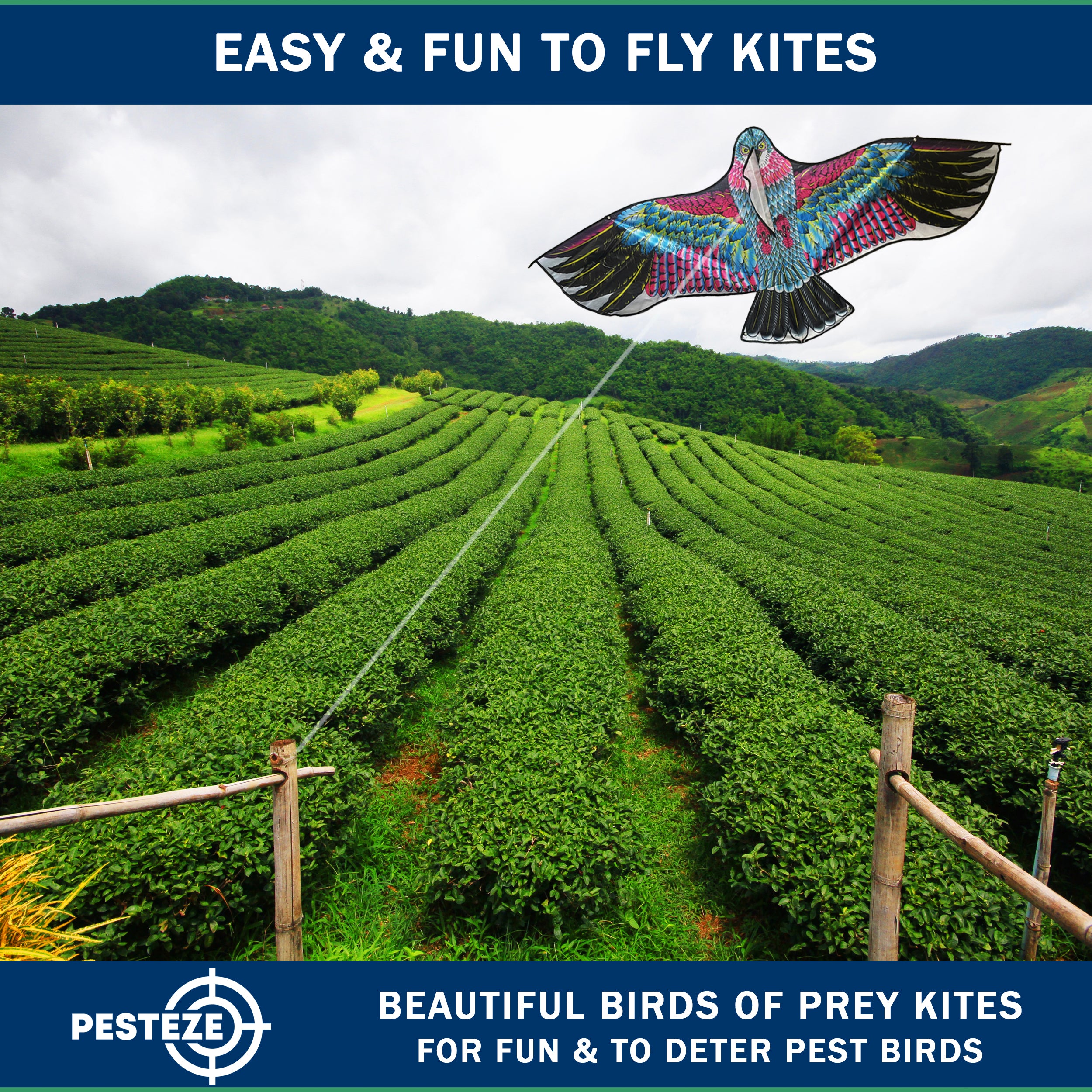 PESTEZE® USA Huge Eagle Kite [2 Pack- 60x28 Inch]. EZ & Fun to Fly. Also provides Humane Bird Deterrence in Yards & Farms. Protects Vegetables, Fruits & Crops from Pest Birds