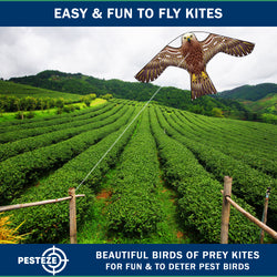 PESTEZE® USA Hawk Kite [2 Pack - 47x27 Inch Kite]. EZ and Fun to Fly. Also Provides Humane Bird Deterrence in Yards & Farms. Protects Vegetables, Fruits & Crops from Pest Birds