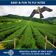 PESTEZE® USA Premium Realistic Eagle Kite with String- 47x27 Inch. EZ & Fun to Fly. Provides Humane Pest Bird Deterrence in Yards & Farms. Protects Vegetables, Fruits & Crops
