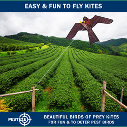 PESTEZE® USA Realistic Hawk Kite [47x27 Inch] EZ & Fun to Fly. Also Provides Humane Bird Deterrence in Yards & Farms. Protects Vegetables, Fruits & Crops from Pest Birds & Critters