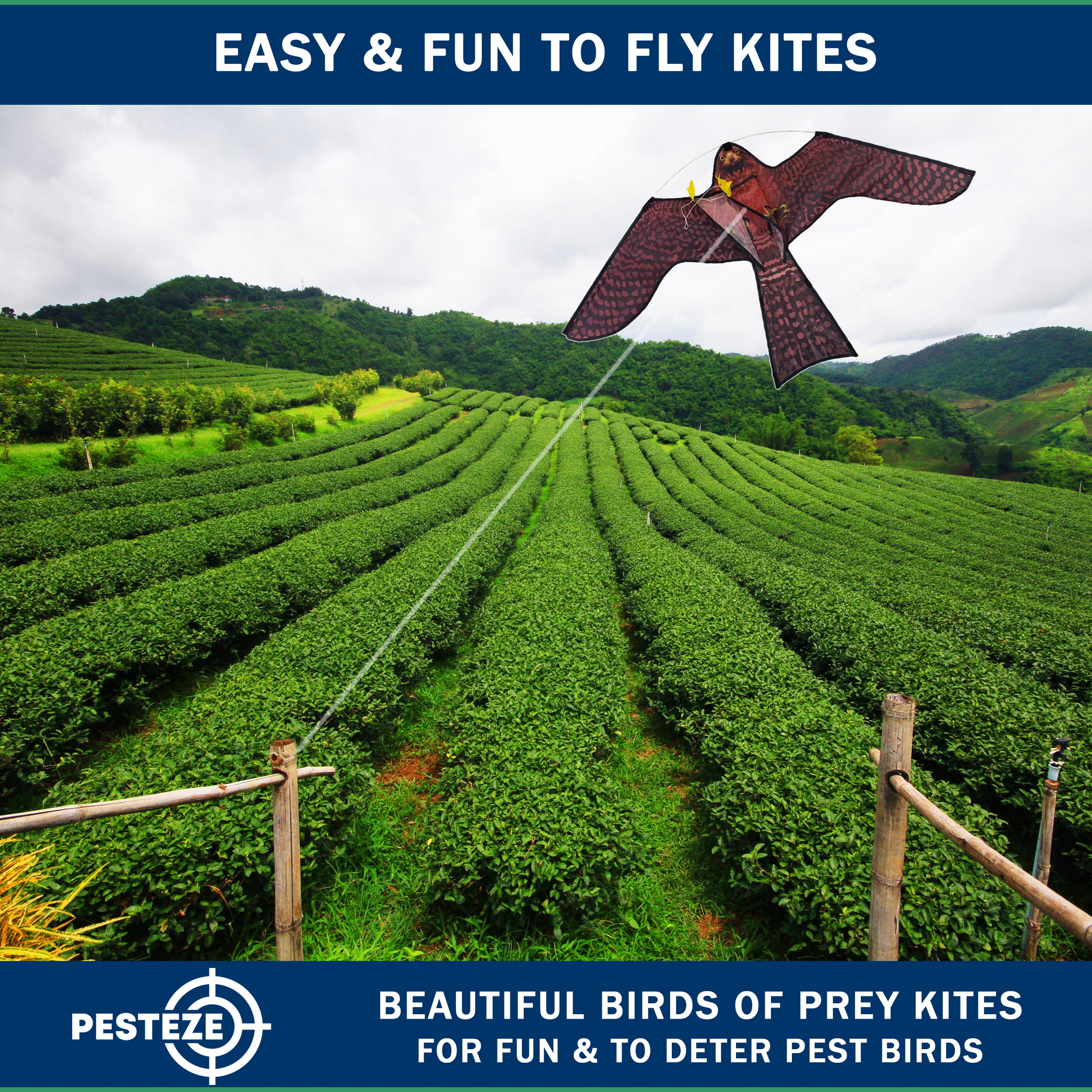 PESTEZE® USA Realistic Hawk Kite [47x27 Inch] EZ & Fun to Fly. Also Provides Humane Bird Deterrence in Yards & Farms. Protects Vegetables, Fruits & Crops from Pest Birds & Critters