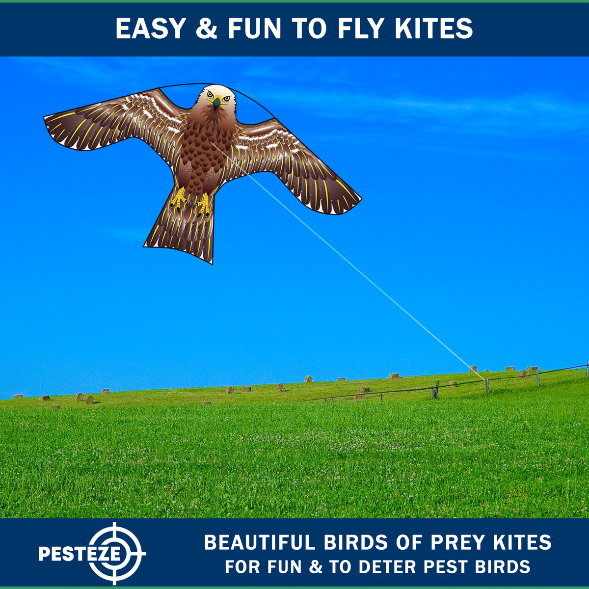 PESTEZE® USA Hawk Kite [47x27 Inch] EZ & Fun to Fly. Also Provides Humane Bird Deterrence in Yards & Farms. Protects Vegetables, Fruits & Crops from Pest Birds & Critters