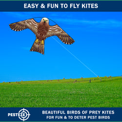 PESTEZE® USA Hawk Kite [47x27 Inch] EZ & Fun to Fly. Also Provides Humane Bird Deterrence in Yards & Farms. Protects Vegetables, Fruits & Crops from Pest Birds & Critters