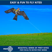 PESTEZE® USA Premium Realistic Eagle Kite with String- 47x27 Inch. EZ & Fun to Fly. Provides Humane Pest Bird Deterrence in Yards & Farms. Protects Vegetables, Fruits & Crops