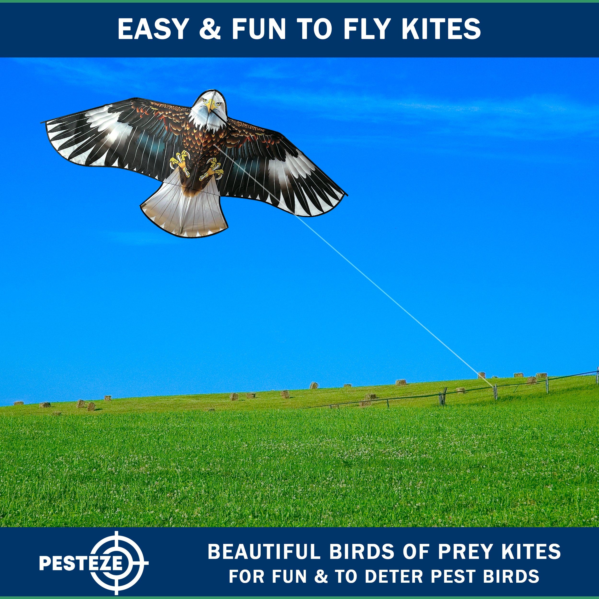 PESTEZE® USA Huge Blue Eagle Kite [2 Pack - 63x29 Inch]. EZ & Fun to Fly. Provides Humane Bird Deterrence in Yards & Farms. Protects Vegetables, Fruits & Crops from Pest Birds