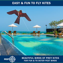 PESTEZE® USA Realistic Hawk Kite [47x27 Inch] EZ & Fun to Fly. Also Provides Humane Bird Deterrence in Yards & Farms. Protects Vegetables, Fruits & Crops from Pest Birds & Critters