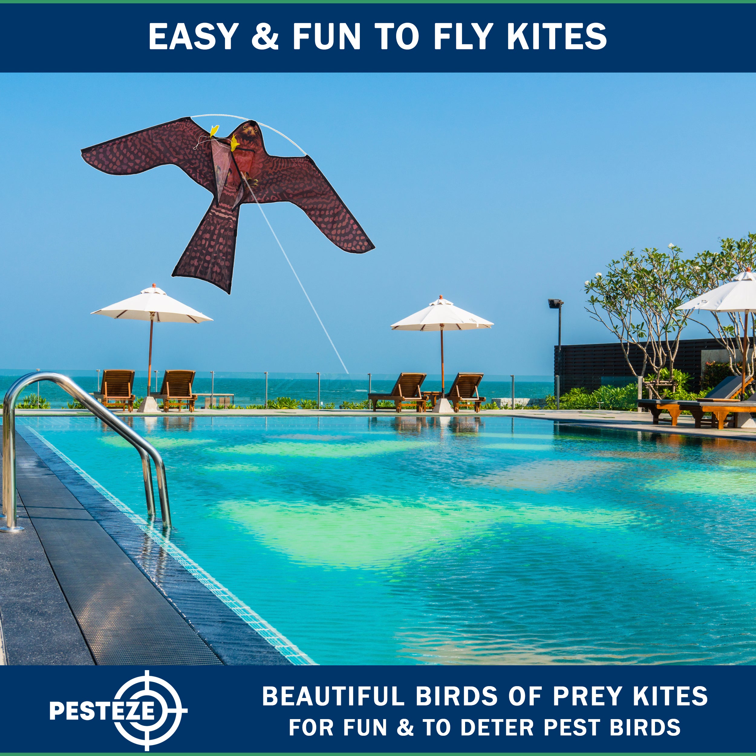 PESTEZE® USA Realistic Hawk Kite [47x27 Inch] EZ & Fun to Fly. Also Provides Humane Bird Deterrence in Yards & Farms. Protects Vegetables, Fruits & Crops from Pest Birds & Critters