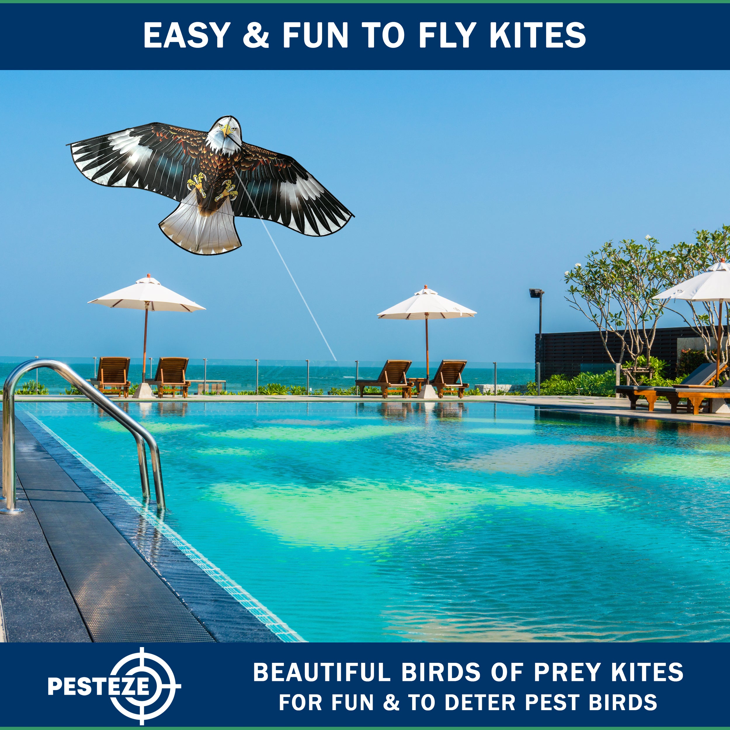 PESTEZE® USA Huge Blue Eagle Kite [2 Pack - 63x29 Inch]. EZ & Fun to Fly. Provides Humane Bird Deterrence in Yards & Farms. Protects Vegetables, Fruits & Crops from Pest Birds