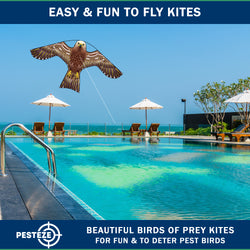 PESTEZE® USA [2 Pack Brown Color] Hawk 47x27 Inch Kite with 13 Ft Flagpole. Provides Humane Bird Deterrence in Yards & Farms. Protects Vegetables, Fruits & Crops from Pest Birds & Critters