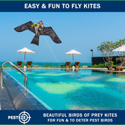 PESTEZE® USA Premium Realistic Eagle Kite with String- 47x27 Inch. EZ & Fun to Fly. Provides Humane Pest Bird Deterrence in Yards & Farms. Protects Vegetables, Fruits & Crops