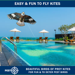 PESTEZE® USA Huge Blue Eagle [63x29 Inch]. EZ & Fun to Fly. Also provides Humane Bird Deterrence in Yards & Farms. Protects Vegetables, Fruits & Crops from Pest Birds & Critters