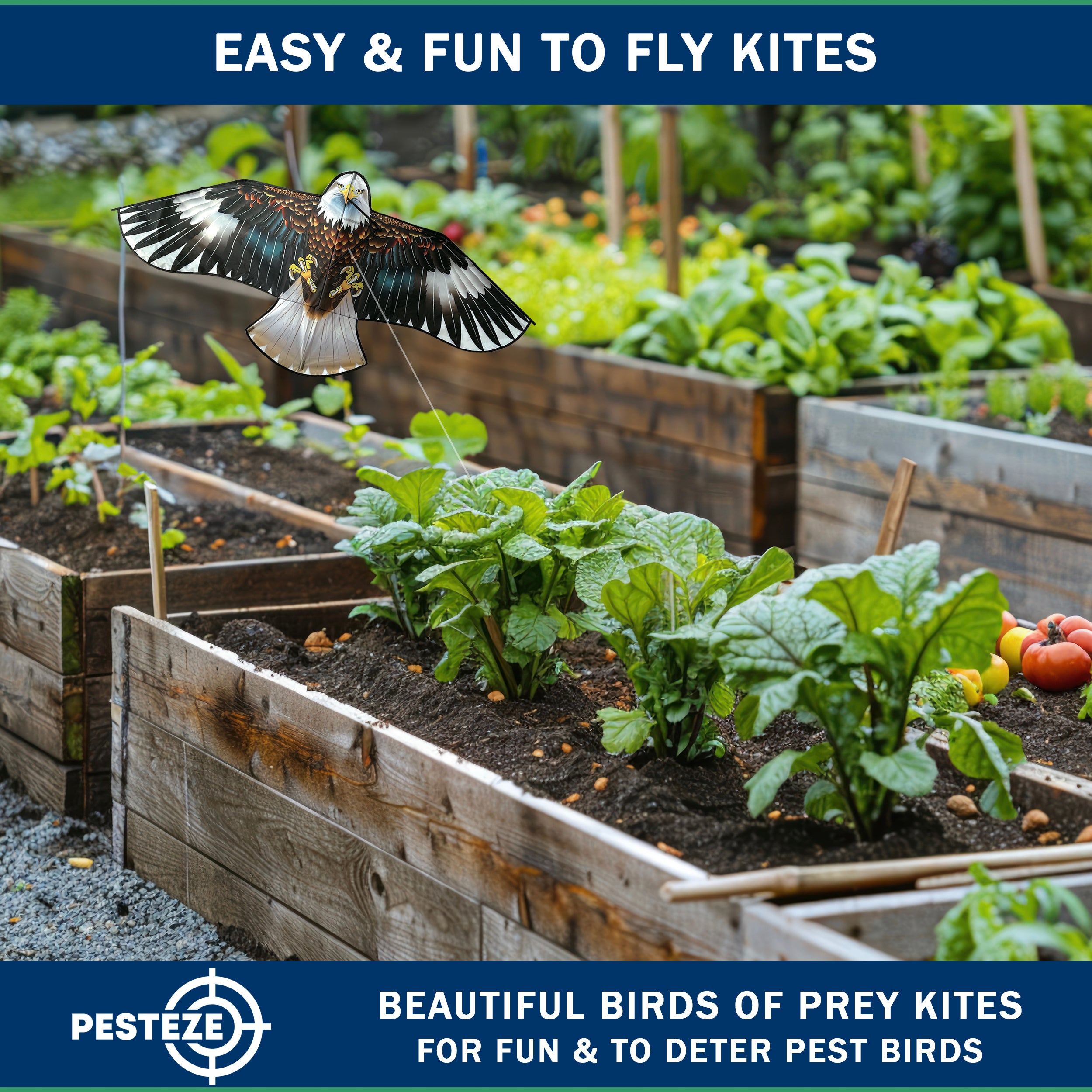 PESTEZE® USA Huge Blue Eagle [63x29 Inch]. EZ & Fun to Fly. Also provides Humane Bird Deterrence in Yards & Farms. Protects Vegetables, Fruits & Crops from Pest Birds & Critters