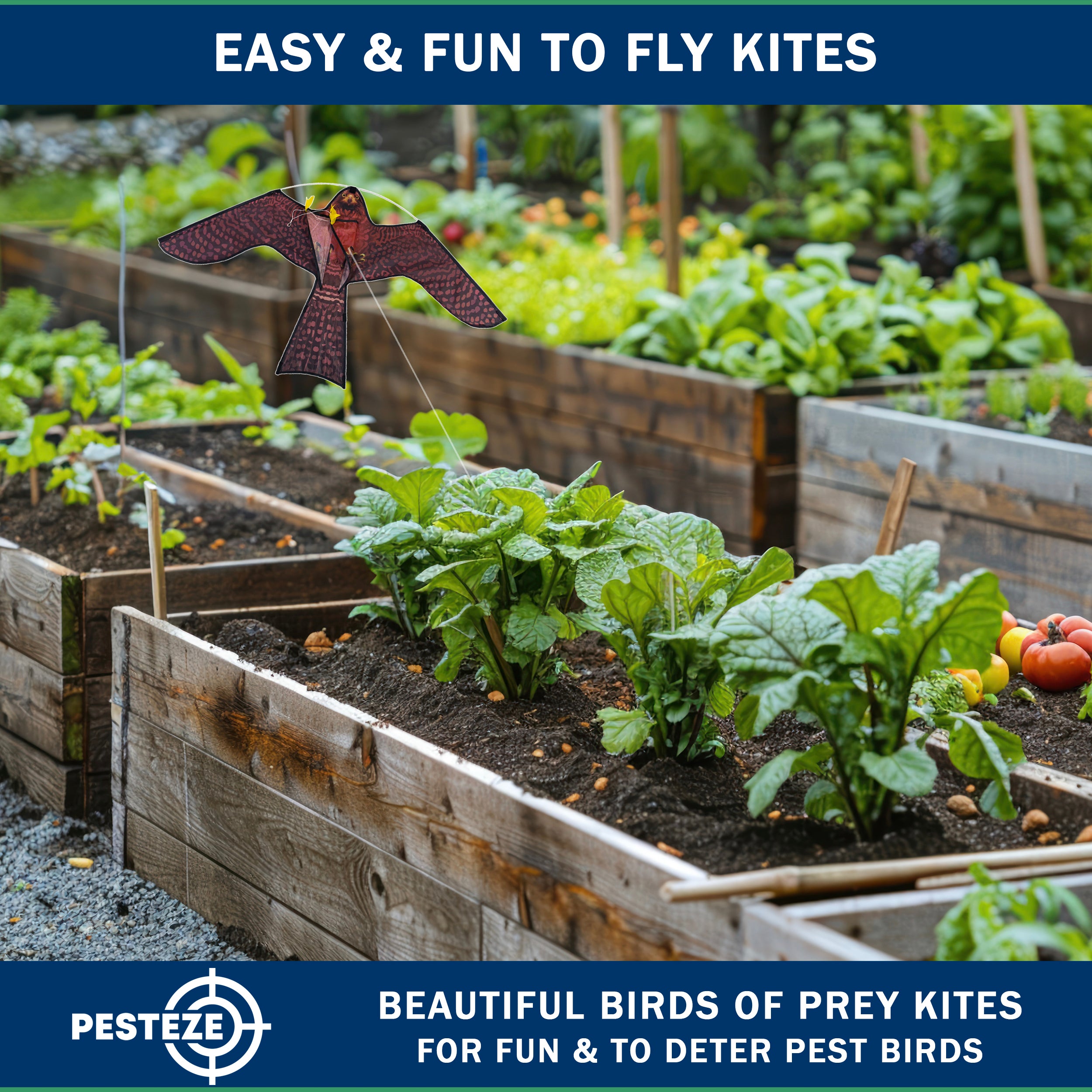 PESTEZE® USA Realistic Hawk Kite [47x27 Inch] EZ & Fun to Fly. Also Provides Humane Bird Deterrence in Yards & Farms. Protects Vegetables, Fruits & Crops from Pest Birds & Critters