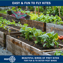 PESTEZE® USA Huge Eagle Kite [2 Pack- 60x28 Inch]. EZ & Fun to Fly. Also provides Humane Bird Deterrence in Yards & Farms. Protects Vegetables, Fruits & Crops from Pest Birds