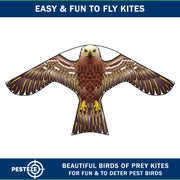 PESTEZE® USA Hawk Kite [47x27 Inch] EZ & Fun to Fly. Also Provides Humane Bird Deterrence in Yards & Farms. Protects Vegetables, Fruits & Crops from Pest Birds & Critters