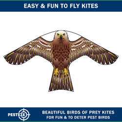 PESTEZE® USA Hawk Kite [2 Pack - 47x27 Inch Kite]. EZ and Fun to Fly. Also Provides Humane Bird Deterrence in Yards & Farms. Protects Vegetables, Fruits & Crops from Pest Birds