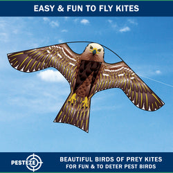 PESTEZE® USA Hawk Kite [47x27 Inch] EZ & Fun to Fly. Also Provides Humane Bird Deterrence in Yards & Farms. Protects Vegetables, Fruits & Crops from Pest Birds & Critters