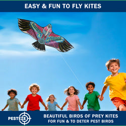 PESTEZE® USA Huge Eagle Kite [2 Pack- 60x28 Inch]. EZ & Fun to Fly. Also provides Humane Bird Deterrence in Yards & Farms. Protects Vegetables, Fruits & Crops from Pest Birds