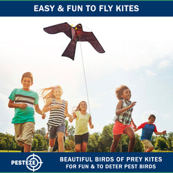 PESTEZE® USA Realistic Hawk Kite [47x27 Inch] EZ & Fun to Fly. Also Provides Humane Bird Deterrence in Yards & Farms. Protects Vegetables, Fruits & Crops from Pest Birds & Critters