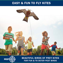 PESTEZE® USA Hawk Kite [2 Pack - 47x27 Inch Kite]. EZ and Fun to Fly. Also Provides Humane Bird Deterrence in Yards & Farms. Protects Vegetables, Fruits & Crops from Pest Birds