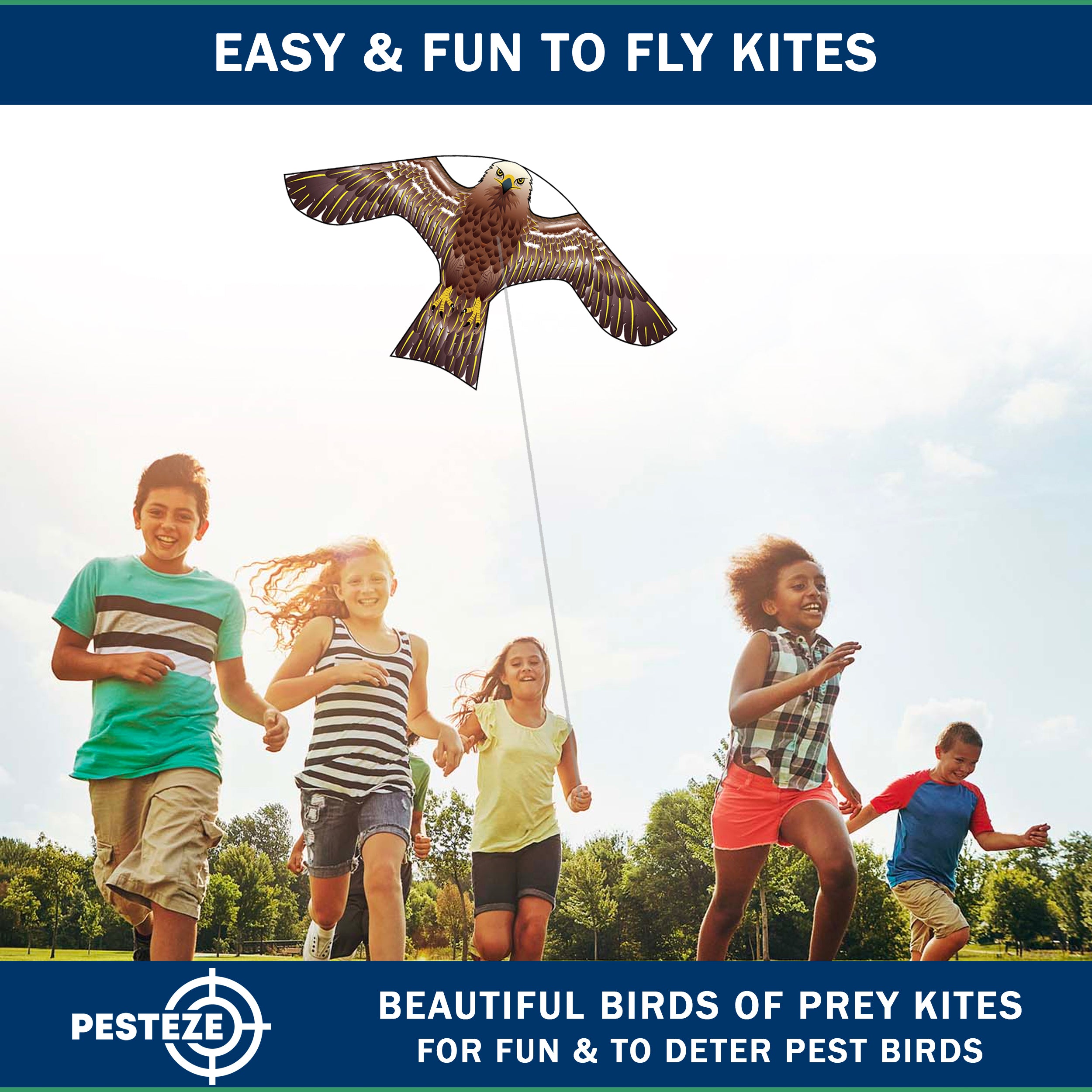 PESTEZE® USA Hawk Kite [2 Pack - 47x27 Inch Kite]. EZ and Fun to Fly. Also Provides Humane Bird Deterrence in Yards & Farms. Protects Vegetables, Fruits & Crops from Pest Birds