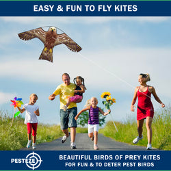 PESTEZE® USA Hawk Kite [2 Pack - 47x27 Inch Kite]. EZ and Fun to Fly. Also Provides Humane Bird Deterrence in Yards & Farms. Protects Vegetables, Fruits & Crops from Pest Birds
